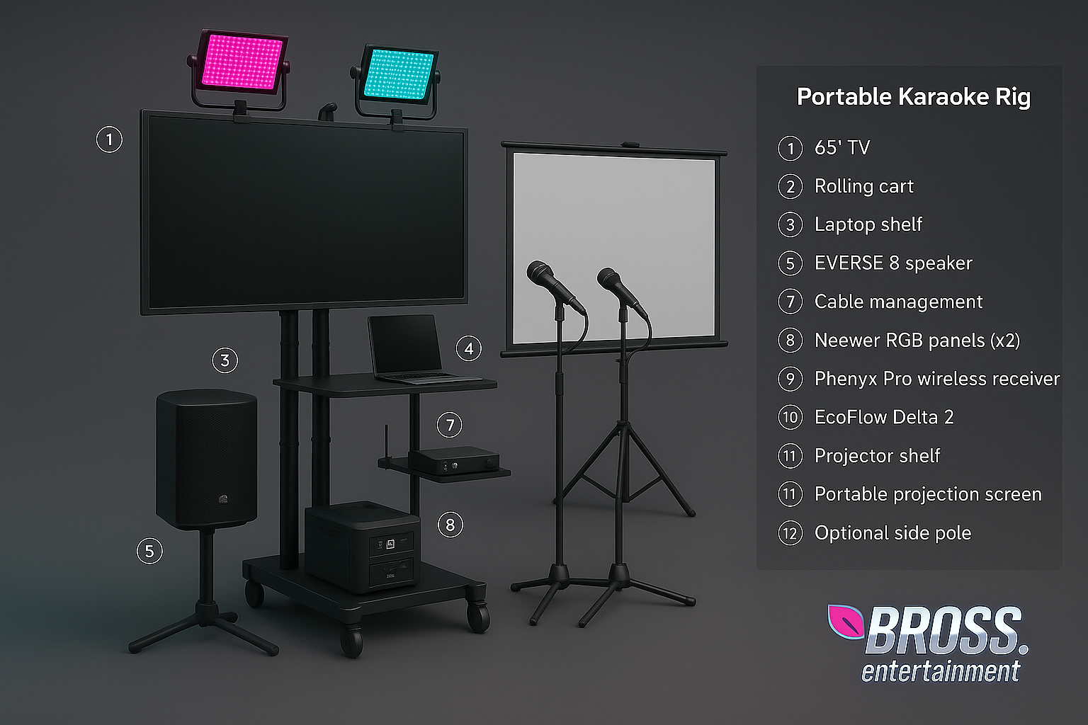 Professional DJ and karaoke gear